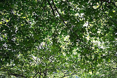 Hangar 13确认在开发新《四海兄弟》游戏