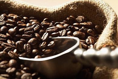 2024年日本开发者最爱游戏出炉 DQ3重制最受欢迎