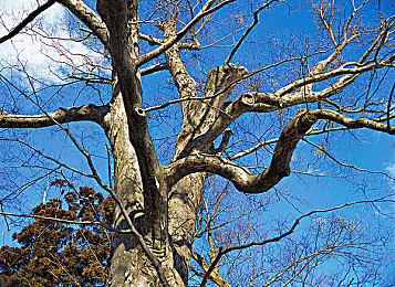 国风动作单机《诸子无双》Steam正式发售，限时32.4元